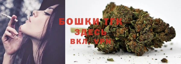 дмт Касимов