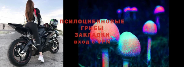 дмт Касимов