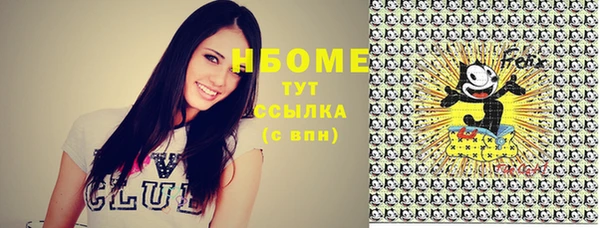 твердый Карпинск