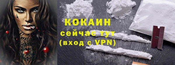 дмт Касимов