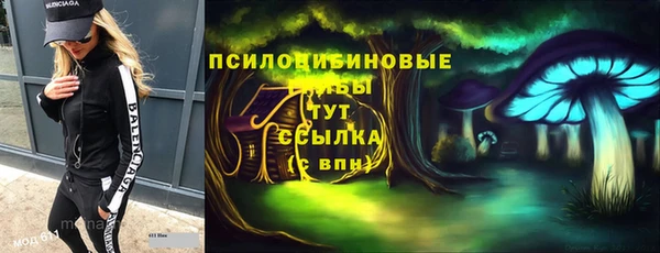 крисы Алзамай
